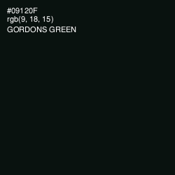 #09120F - Gordons Green Color Image